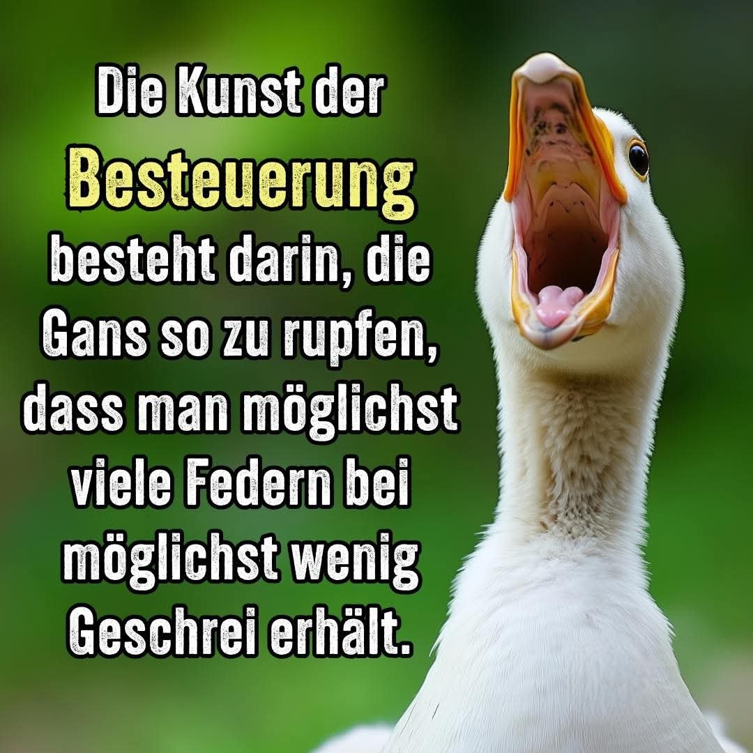 Steuern sind Raub – sie besteuern absolut alles