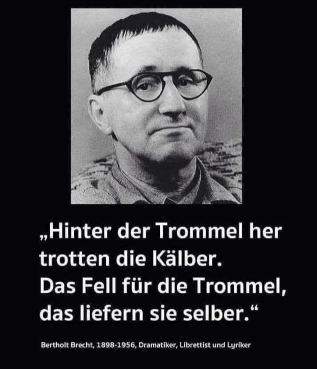 Freiwilige gegen Zwangssysteme