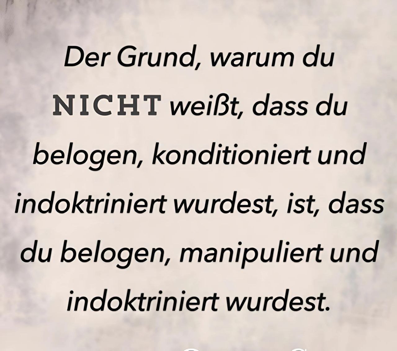 Amt vs Behörde
