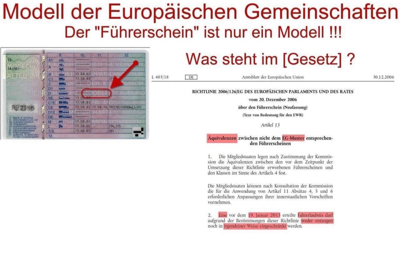 Die Führerscheinsimulation